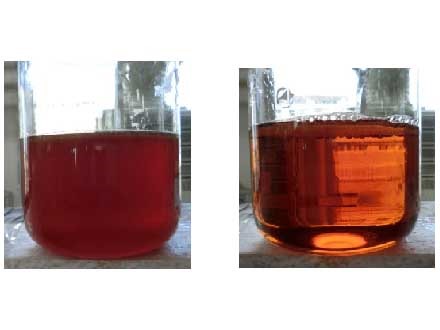 酱油生产新工艺